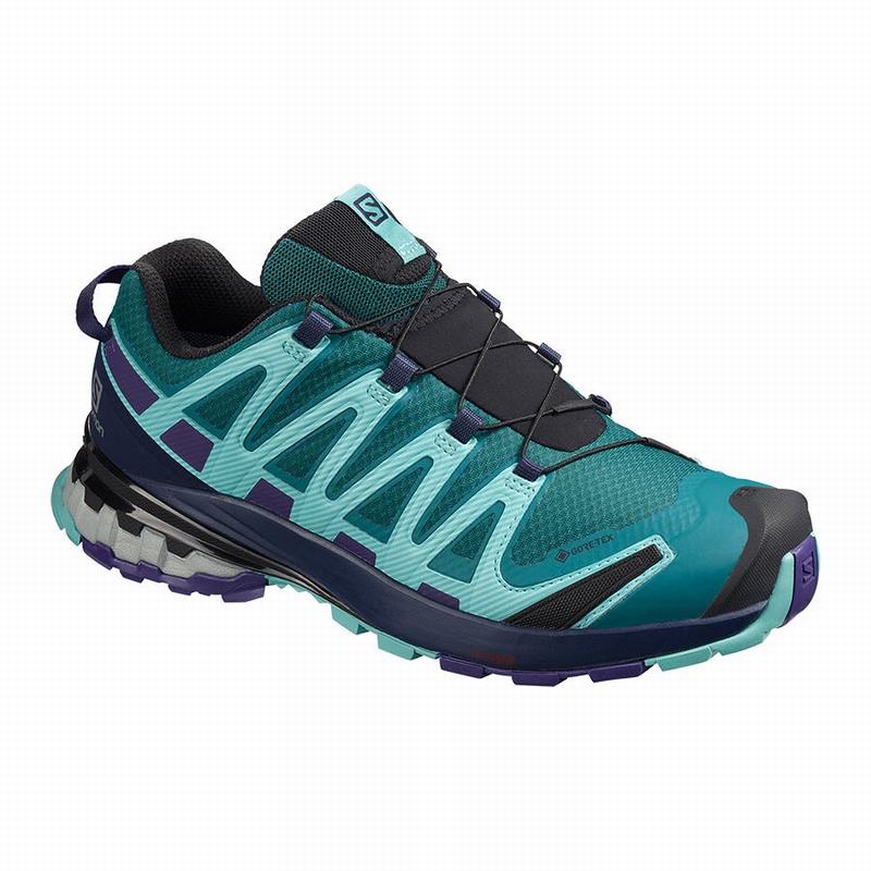 Salomon Singapore Womens Hiking Shoes - XA PRO 3D V8 GORE-TEX Blue | 92507-CGYH